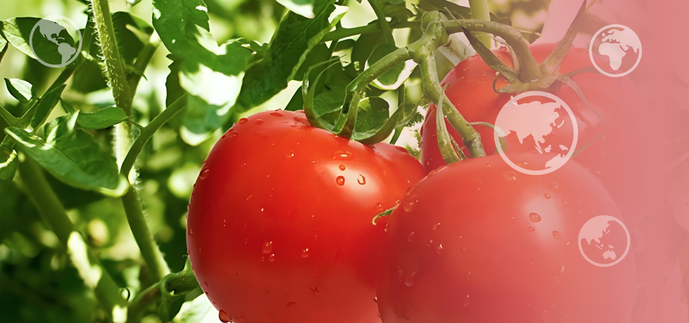 Browse Banner
