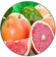 Grapefruit