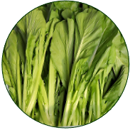Leaf Mustard