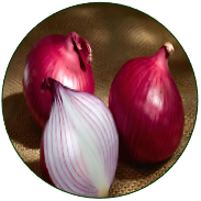 Onion