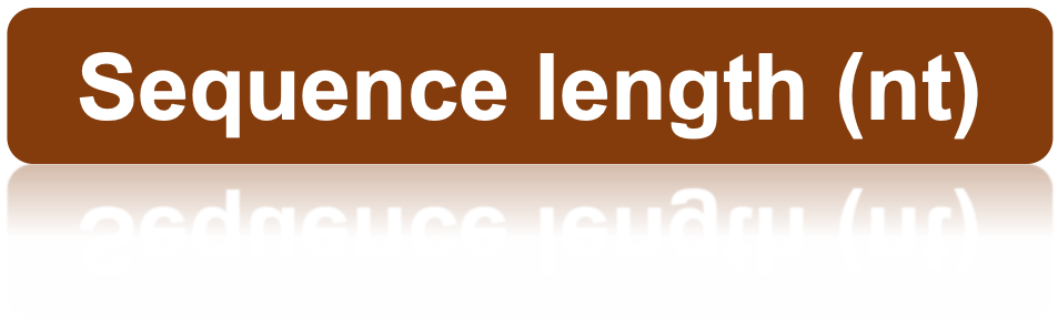 Sequence length (nt)