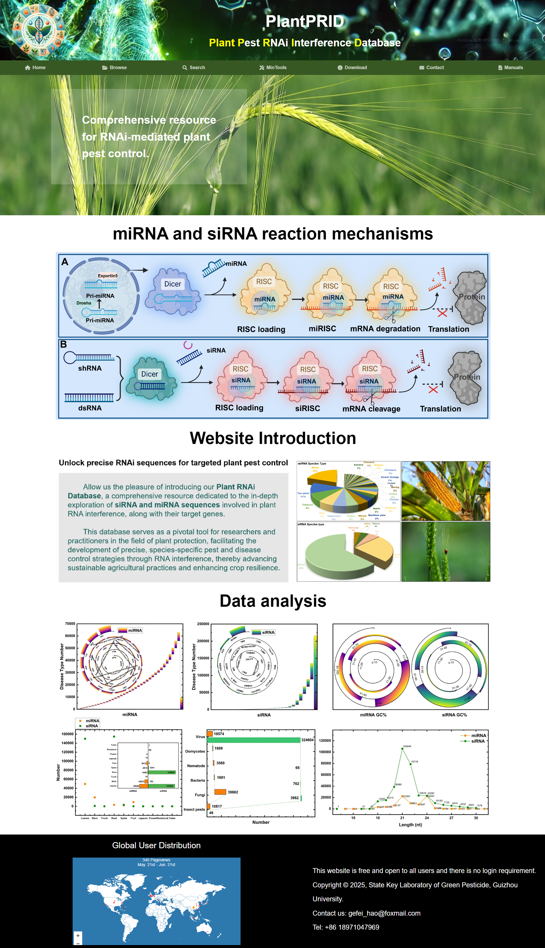 miRNA and siRNA reaction mechanisms